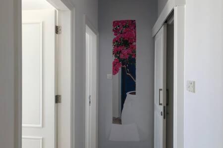 Kings Palace - Superb 2 Bed Ground Floor Apartment Paphos Buitenkant foto